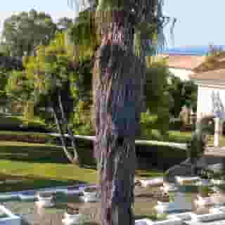 Grecotel Lux Me Oasis at Riviera Olympia Aqua Park, 3 of 5