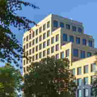 the niu Dwarf, 3 of 5