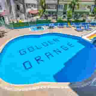 Golden Orange, 2 of 5