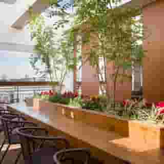 Tosei Hotel Cocone Ueno, 4 of 5