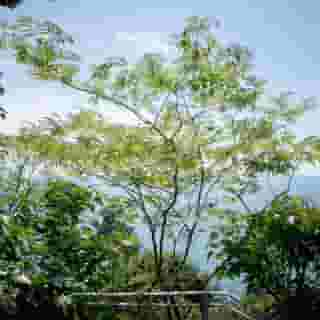 Maximilian's Residence, 2 of 5