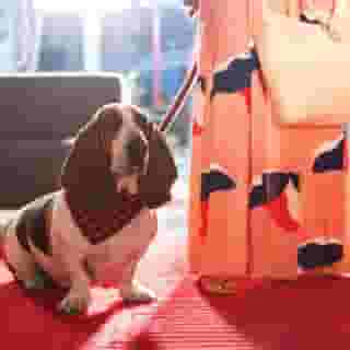 Fiesta Inn Aeropuerto Ciudad de Mexico, 3 of 5