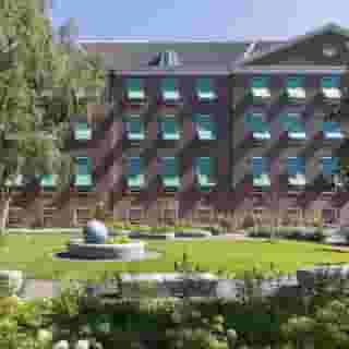 Wittenberg by Cove, Plantage, 2 of 5