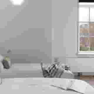 Wittenberg by Cove, Plantage, 5 of 5