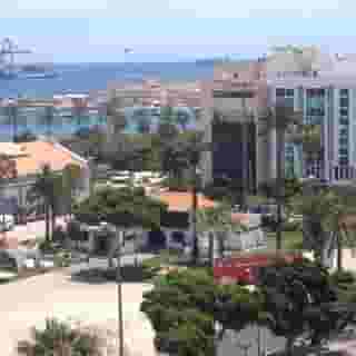 Miami Las Plamas, 2 of 5