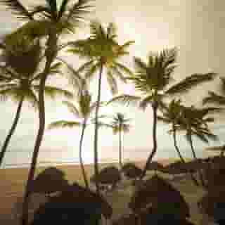 Tropical Princess, 4 of 5