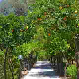 Villa Oriana Relais, 5 of 5