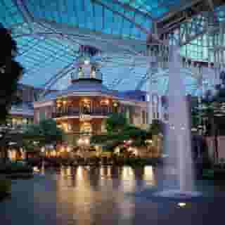Gaylord Opryland Resort & Convention Center, 3 of 5