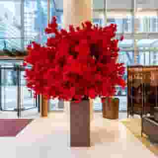 Shangri-La Vancouver, 6 of 6