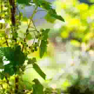 Buitenplaats De Bergse Bossen, 3 of 5