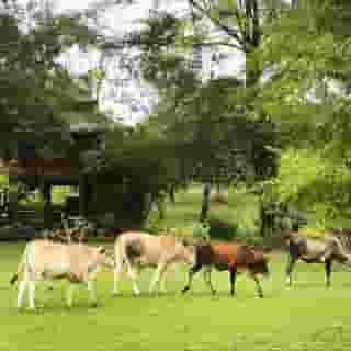 ThaiLife Homestay Resort & Spa, 4 of 5