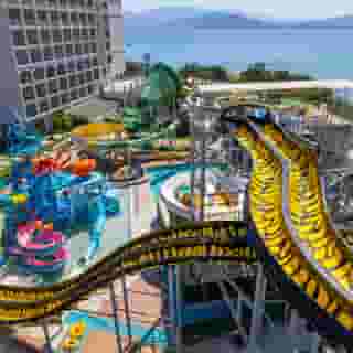 Duja Didim (ex Asteria Zeus), 4 of 5