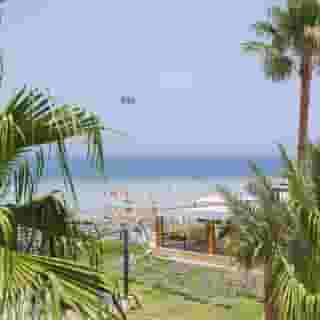 Palmyra Golden Beach, 4 of 5