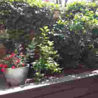 Crystal Suites Old Town, 3 of 5