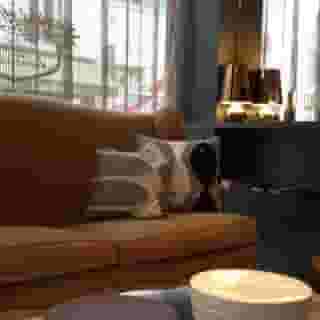 Villa des Ambassadeurs, 1 of 5