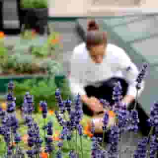 Sofitel Paris Le Faubourg, 5 of 5