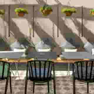 The Wild Oscar, 1 of 5