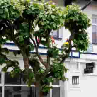 Urban Style Biarritz, 4 of 5