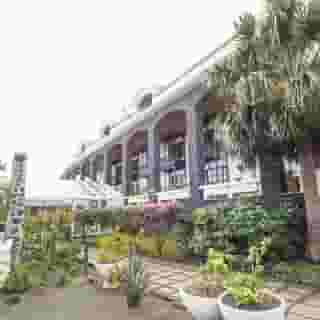 La Palma Romántica, 3 of 5