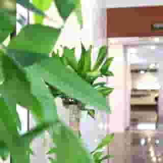 Hotel Wing International Select Ueno Okachimachi, 2 of 5
