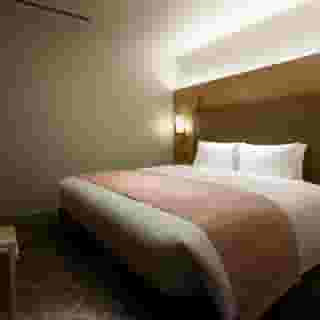 Hotel the Celestine Tokyo Shiba, 2 of 5