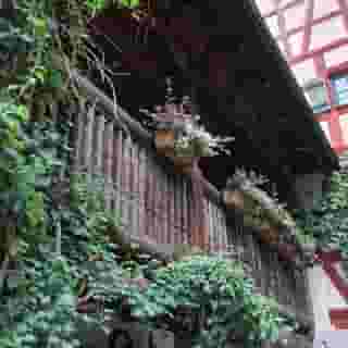 Restaurant & Hotel Der Schwan, 6 of 6