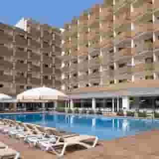 htop Amatista, 2 of 5