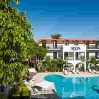 Arion Renaissance, 6 of 6