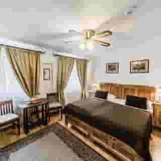 Archibald at the Charles Bridge, 1 of 5