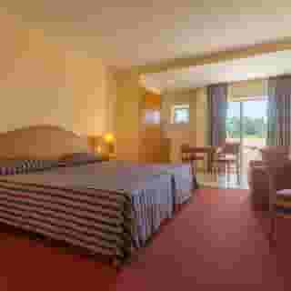 Amazonia Palmela, 4 of 5