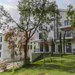 Huma Kotor Bay, 4 of 5