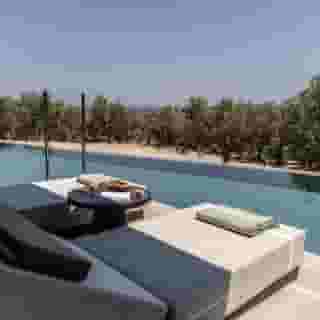 King Jason Zante - Designed For Adults, 3 of 5