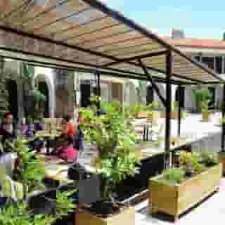 Le Top Du Roulier, 2 of 5