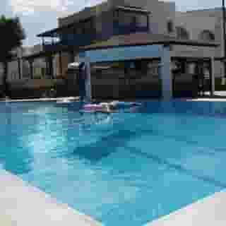 Cactus Mare -Adults Only, 2 of 5