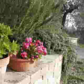 B&b Lavanda e Rosmarino, 5 of 5