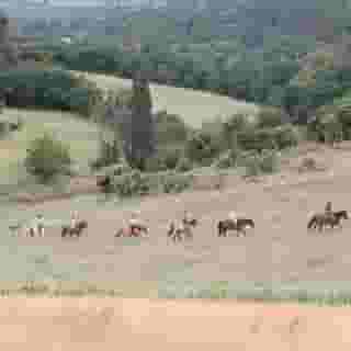 Domaine De Fraisse, 5 of 5