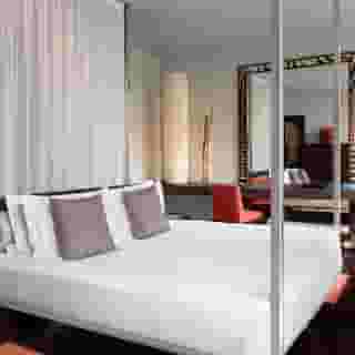 Sina The Gray, 2 of 5