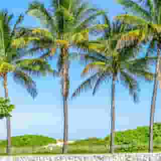 Hilton Vacation Club Crescent on South Beach Miami, 6 of 6