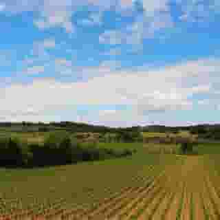 Domaine De Palatz, 6 of 6