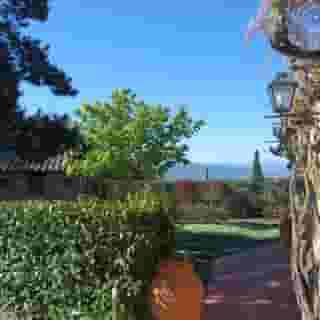 Colle Etrusco Salivolpi, 1 of 5