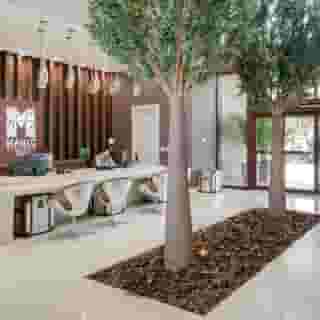 Magic Village Yards, Trademark Collection, 4 of 5