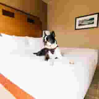 Grand Hyatt Seattle, 5 of 5