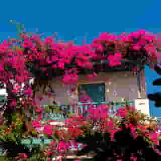 Andreas Hotel Santorini, 6 of 6