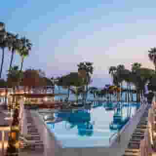 Acanthus Cennet Barut Collection, 6 of 6