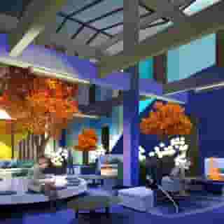 Room Mate Bruno, 3 of 5