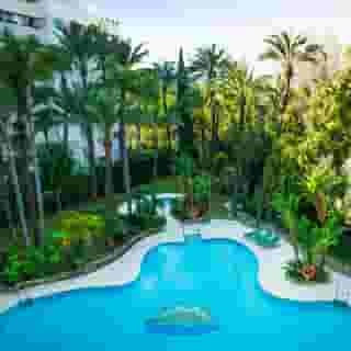 Monarque Sultan, 2 of 5