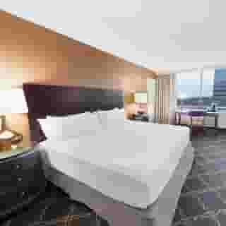 Austin Southpark Hotel, 2 of 5
