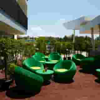 Samui Verticolor, 4 of 5