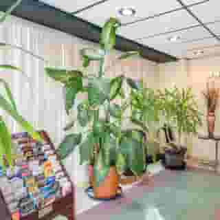 Oyo Oasis Motel Las Vegas I-15, 3 of 5