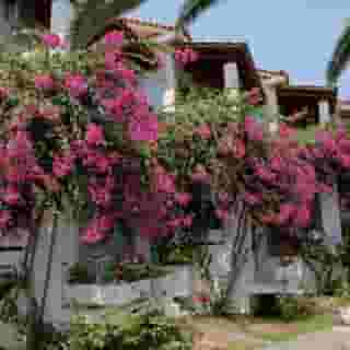 Paradise Hotel Zth, 1 of 5